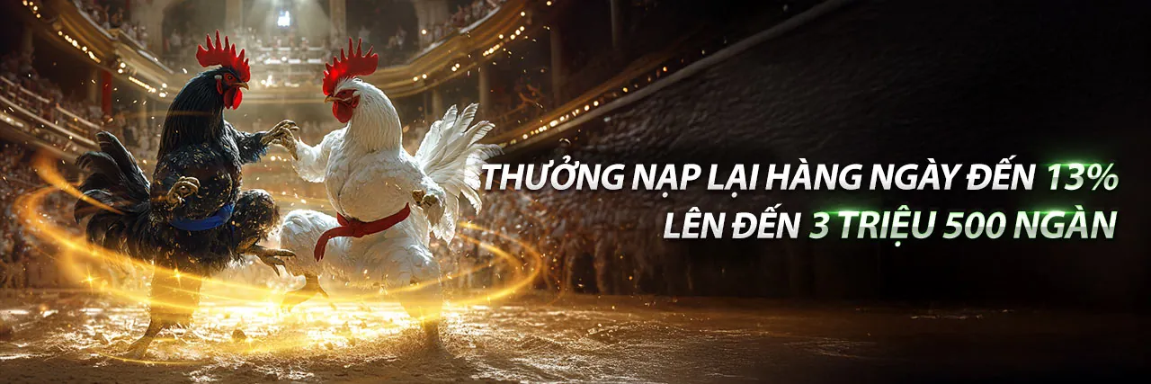 Sòng bạc trực tuyến 55cc đăng nhập